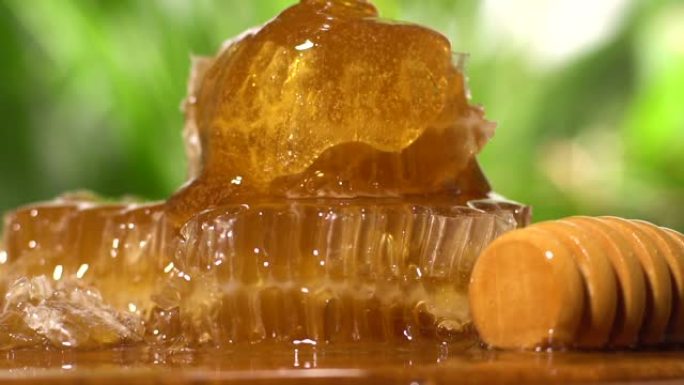 蜂窝状上流动的蜂蜜的慢动作