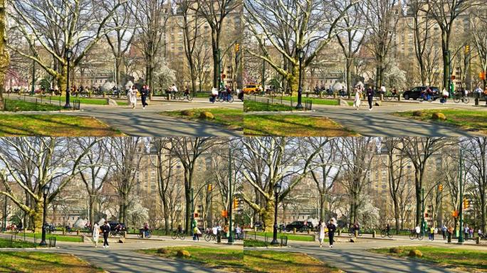 中央公园的春天人文景光阳光明媚树荫光影