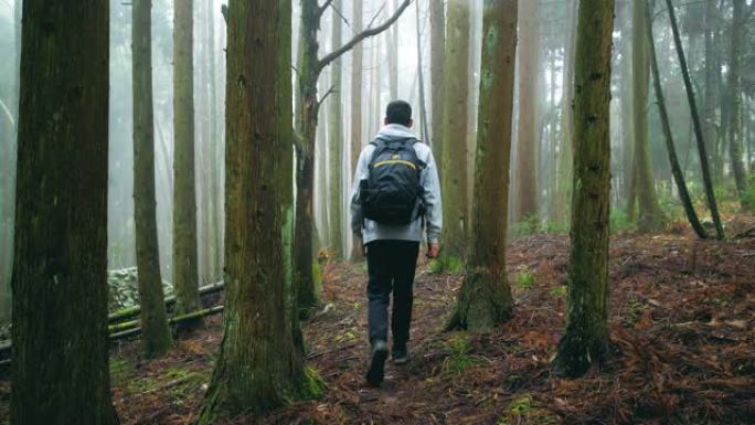 走在森林里的旅行者