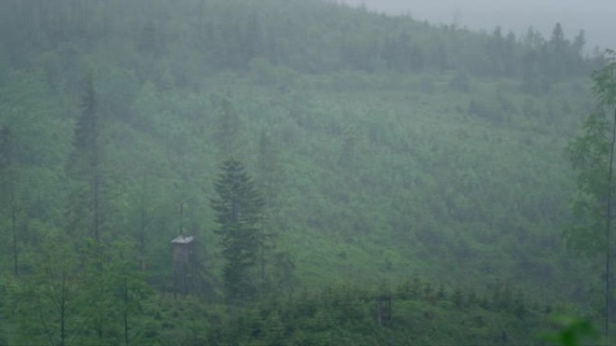 探索荒野。雨天的山地景观