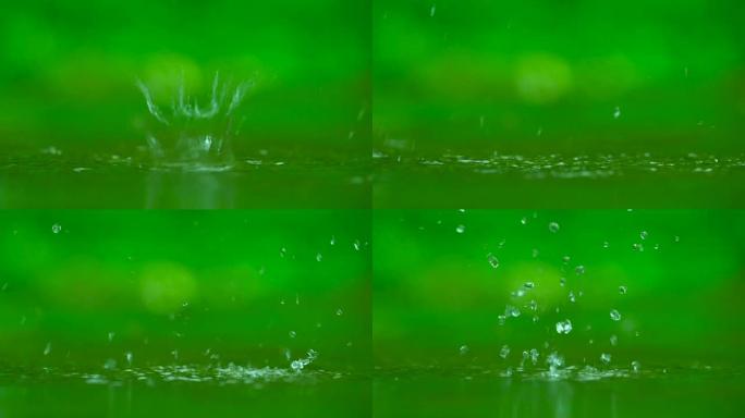 绿色背景的水滴水花四溅绿色大自然清澈的水