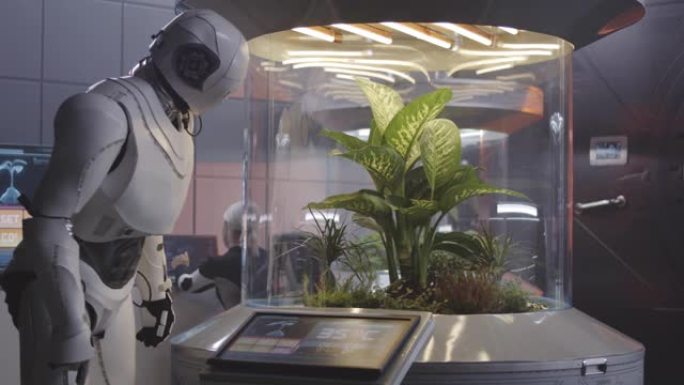 机器人与植物培养箱一起工作