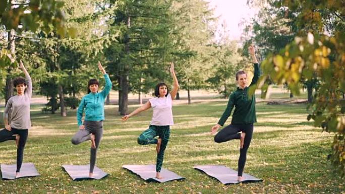 苗条的年轻女性在公园的户外瑜伽课上做着各种各样的树姿势，放松身心，享受自然和活动。运动与健康概念。