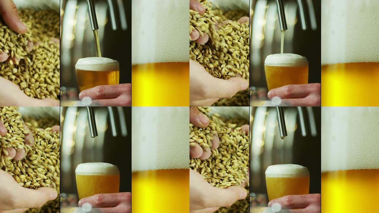 酒精啤酒的成分以及如何以传统方式从麦芽和啤酒花到酿酒厂的过程