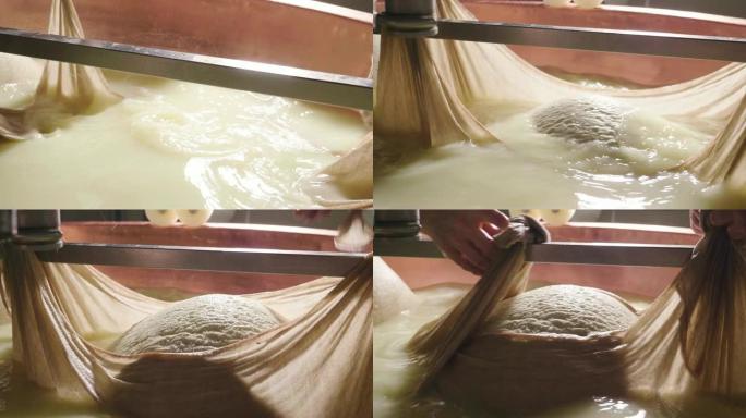 奶酪制造商使用新鲜和生物牛奶准备一种形式的帕尔马干酪。该处理是按照意大利古代传统进行的。