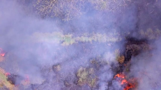 森林大火正在燃烧失火灾消防浓烟灾害放大火