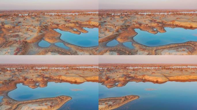 新疆鸟瞰图沙漠绿洲航拍绿洲秋景沙漠沼泽湿