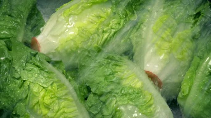 莴苣蔬菜被洗净新鲜蔬菜实拍视频