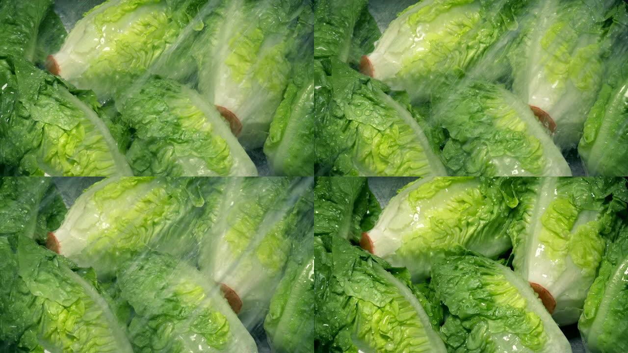 莴苣蔬菜被洗净新鲜蔬菜实拍视频