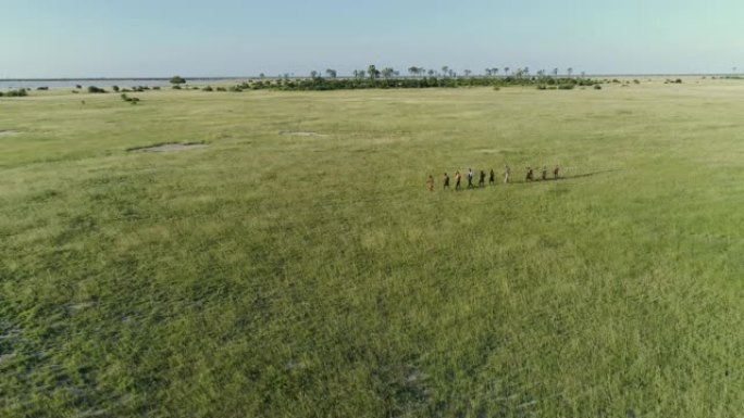 4k空中缩小了一群游客在博茨瓦纳Makgadikgadi草原上与San人/Bushman穿着传统服装