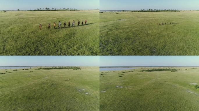 4k空中缩小了一群游客在博茨瓦纳Makgadikgadi草原上与San人/Bushman穿着传统服装