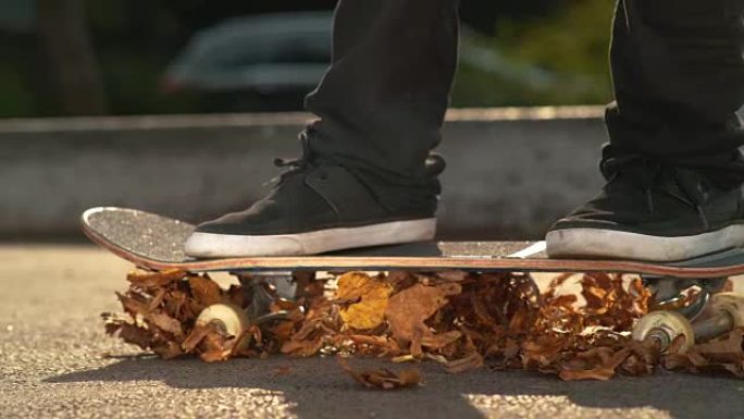 慢动作: 无法识别的人将滑板骑在橙色的秋叶上