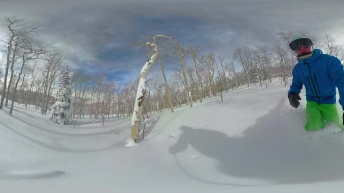 VR360: 极限滑雪者在穿越白雪皑皑的森林时切碎新鲜的粉末。