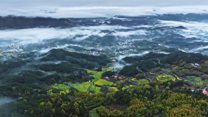 安徽黄山灵山油菜花梯田航拍