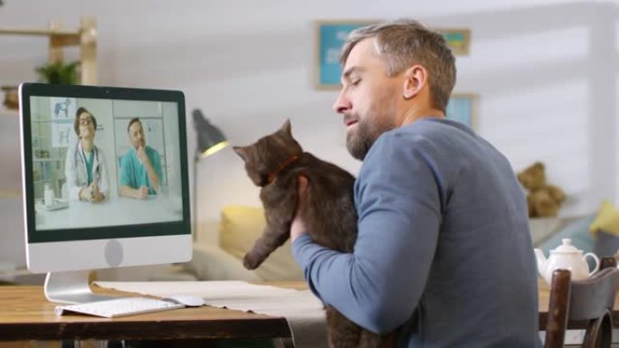 男子与猫视频通话在线兽医