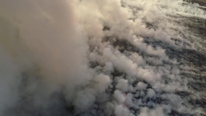 鸟瞰大烟云和火场。飞越野火和浓烟。极端高温和气候变化导致的自然灾害