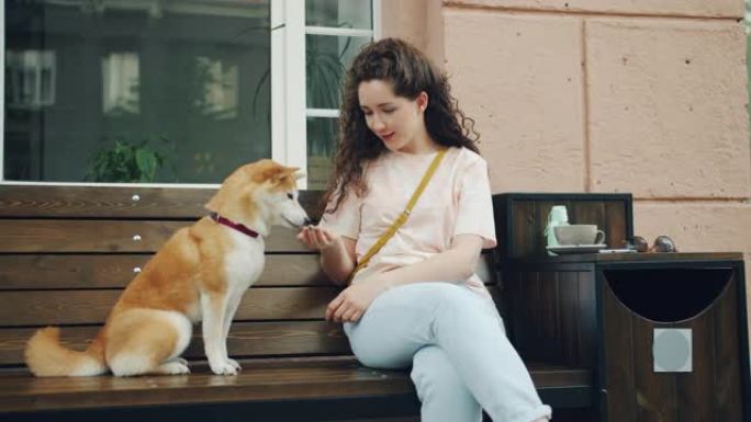 可爱的女孩喂养可爱的柴犬小狗坐在户外咖啡馆的长凳上