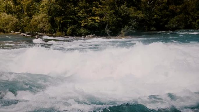 在危险的快速尼亚加拉河汹涌的水域，快速的白水波浪和岸上的树木上拍摄泡沫的特写镜头。