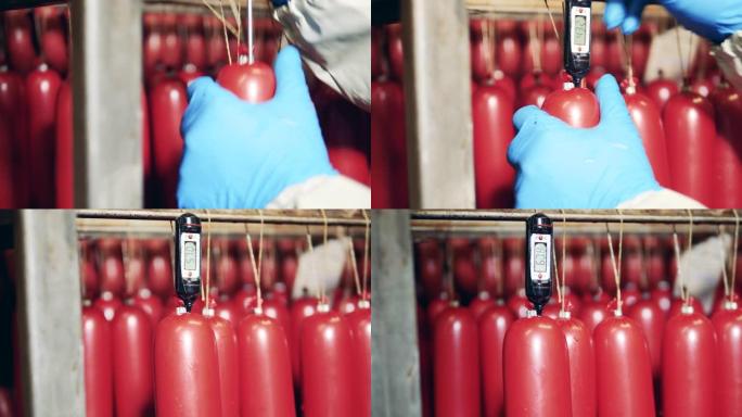 冰箱中悬挂的香肠的温度测量。食品厂仓库包装肉制品。