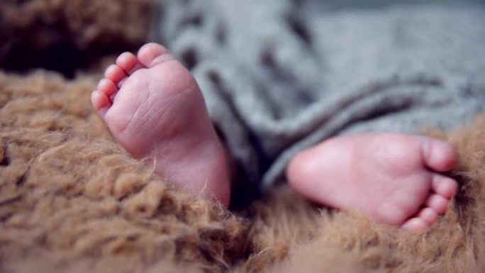 新生婴儿的小脚新生婴儿的小脚小脚丫睡觉