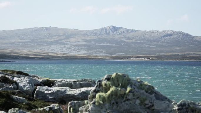 福克兰群岛波涛汹涌的大海 (马尔维纳斯岛)。