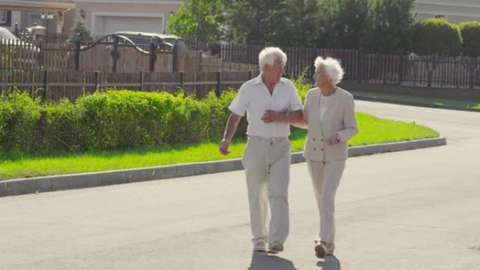 高级妻子和丈夫在夏日在户外讲话和散步