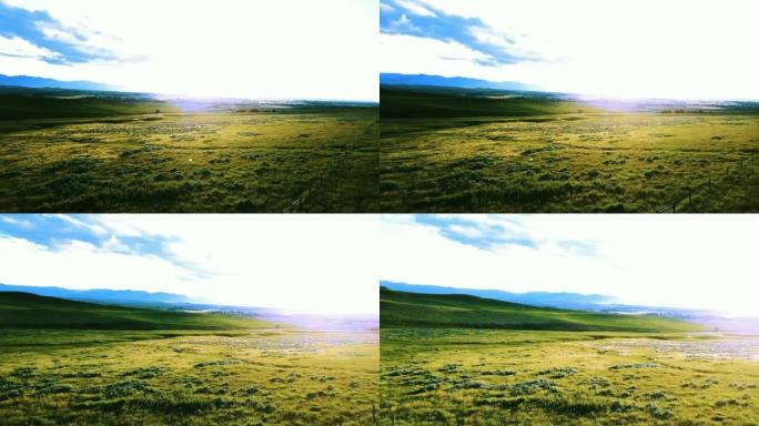 无人机在壮丽的宁静草原上左转，绿色的平原草原景观，令人惊叹的蓝色阳光明媚的天空。