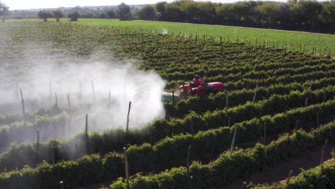 在大型蔬菜农场上，拖拉机向西红柿上喷洒农药云的空中后视图