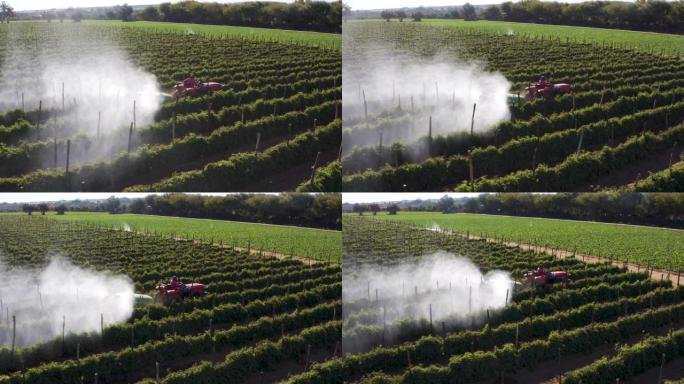 在大型蔬菜农场上，拖拉机向西红柿上喷洒农药云的空中后视图