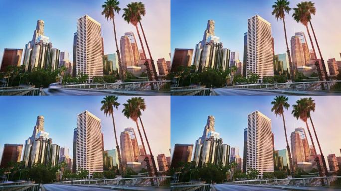 洛杉矶。金融市区。棕榈树