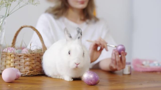 带宠物兔子装饰复活节彩蛋的女人的序列