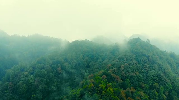 有雾的山的空中拍摄
