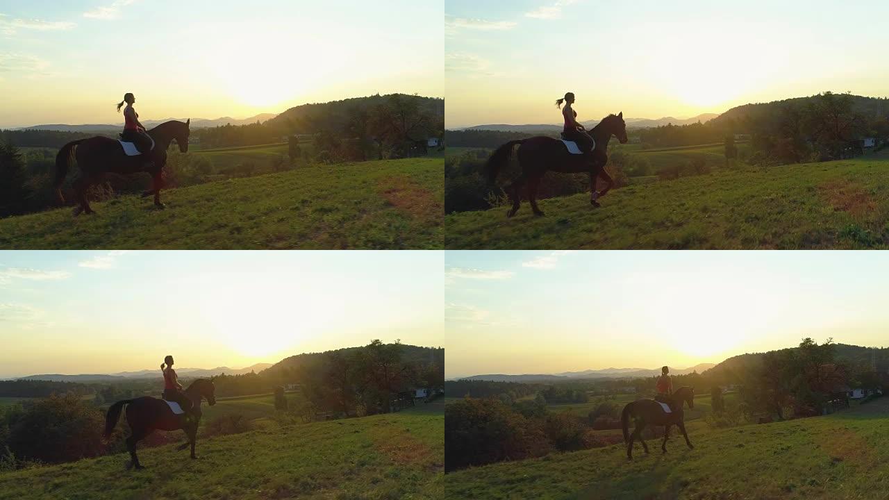 空中: 年轻女子在风景秀丽的日落时骑着美丽的棕色马小跑。