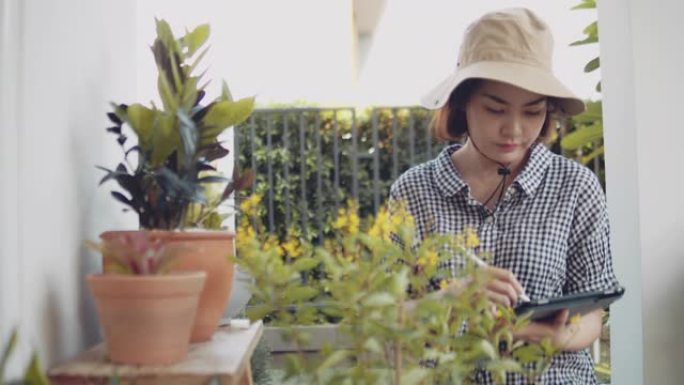 亚洲妇女在花园里种植前检查作物。