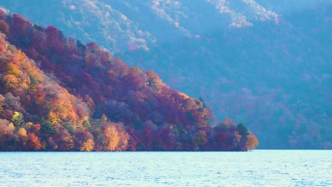 4k锁定: 日本日光秋季的中禅寺湖。