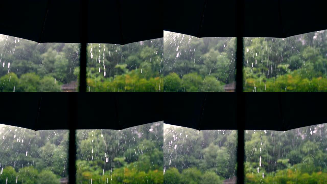 雨天气下的雨伞雨天气下的雨伞