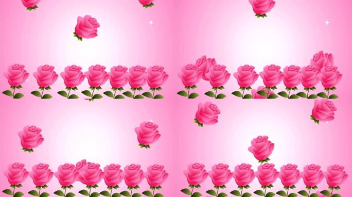 美丽的粉红玫瑰花卉花园动画