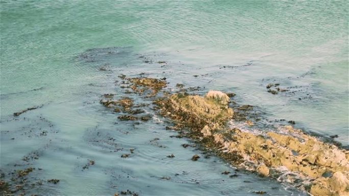 海浪撞击福克兰群岛海岸 (马尔维纳斯群岛)。