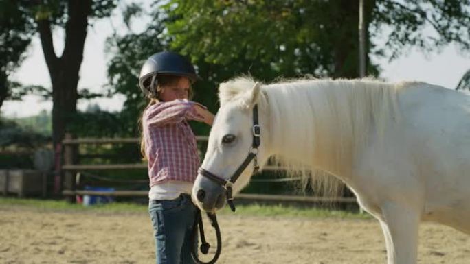 真实的照片，一个可爱的小女孩戴着骑师头盔，正在抚摸一匹白马在骑马厩与阳光