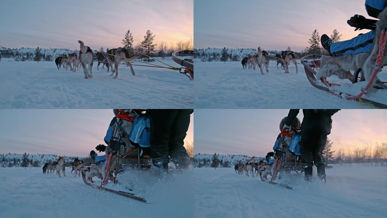 SLO MO雪橇狗在日出时在雪地上奔跑