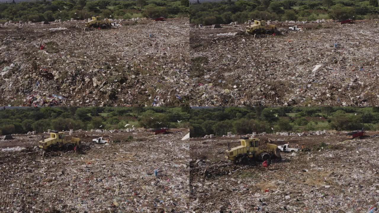 4k推土机和在垃圾填埋场工作的人的鸟瞰图，有数百只欧洲白鹳在清理或食物