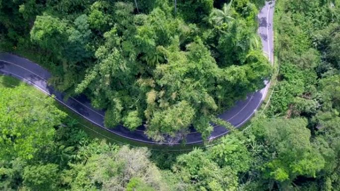 俯视图森林和山脉中的道路，穿越森林的公路旅行