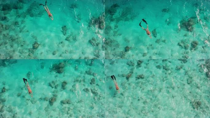 穿着明亮比基尼的女性的鸟瞰图在荒岛的蓝色清澈海水中漂浮着游泳鳍