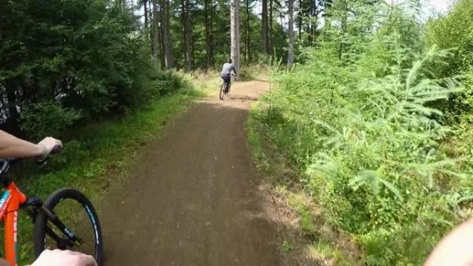 自行车骑行粘合林间小道赶路脚踏