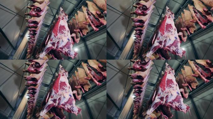 牛肉和猪肉挂在工厂的冰箱里
