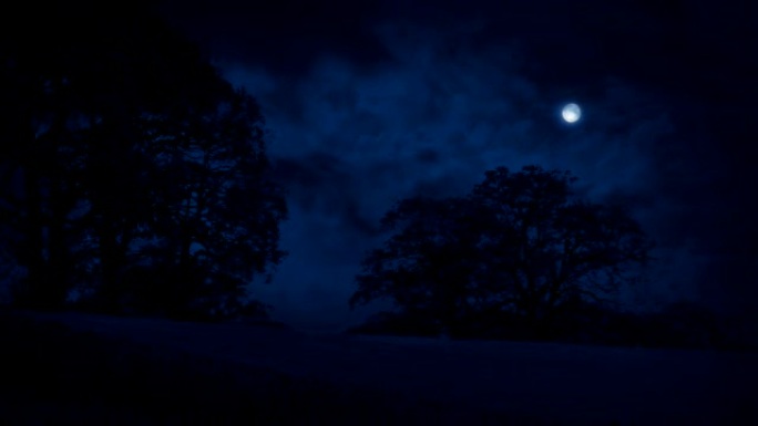 田野和树木，夜晚有云层经过