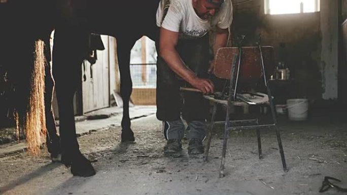 WS Farrier将鞋子钉在上面