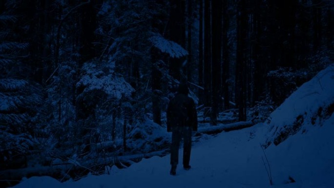 男人晚上在白雪皑皑的树林中行走