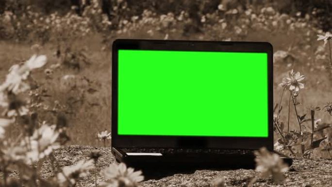 绿屏笔记本电脑。在一片花丛中拍摄。棕褐色色调。缩小。