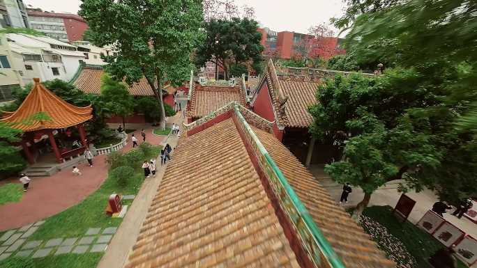 广州农讲所红色木棉花百年古树穿越4K视频